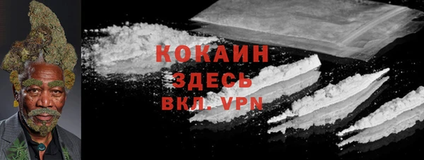 сатива Волоколамск