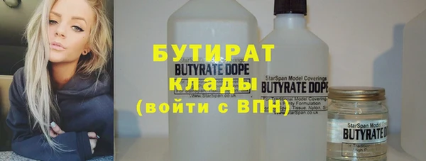 сатива Волоколамск