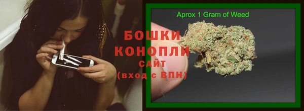 сатива Волоколамск