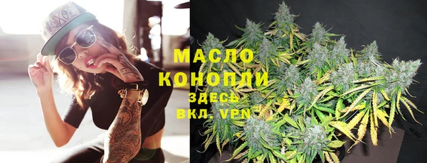 сатива Волоколамск