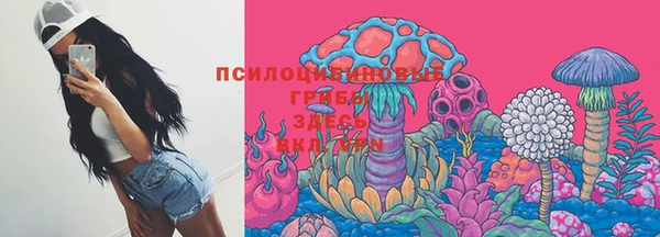 сатива Волоколамск