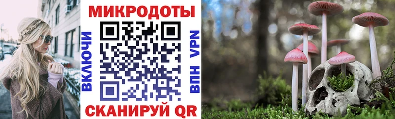 Галлюциногенные грибы MAGIC MUSHROOMS  OMG ONION  Воскресенск 